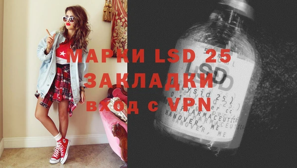 бошки Пересвет